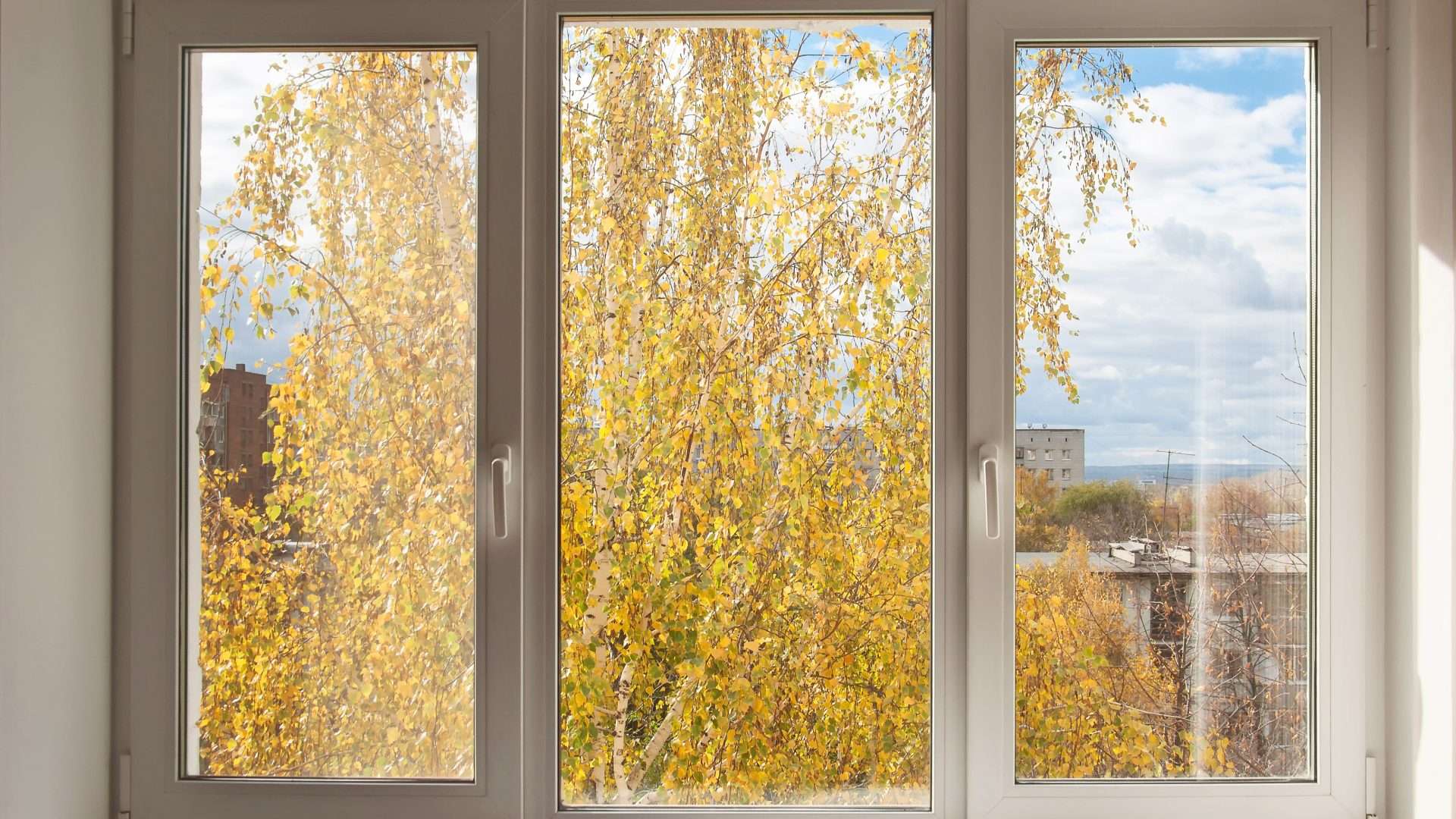 White casement window of home looking out at autumn trees in Sag Harbor, NY