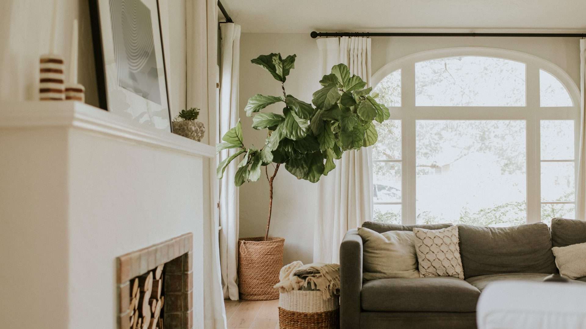 https://rockmanwindowsanddoors.com/featured-window-brands/