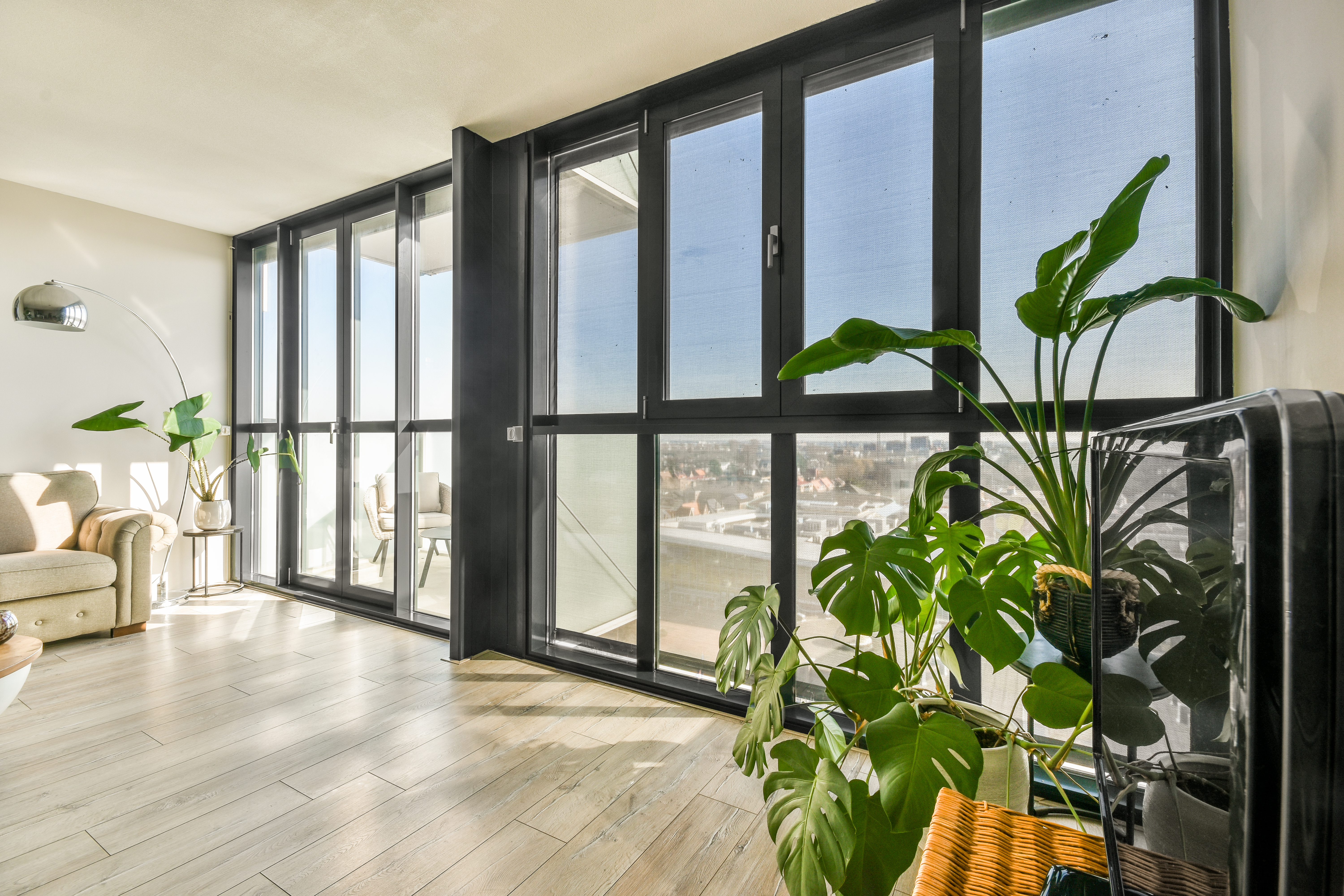 Amazing Patio Doors in Greenwich, CT | Rockman Windows & Doors A spacious living area with a potted plant and black-framed patio doors.